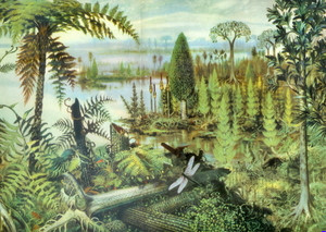 Das Entstehen von Potsdams Flora und Fauna